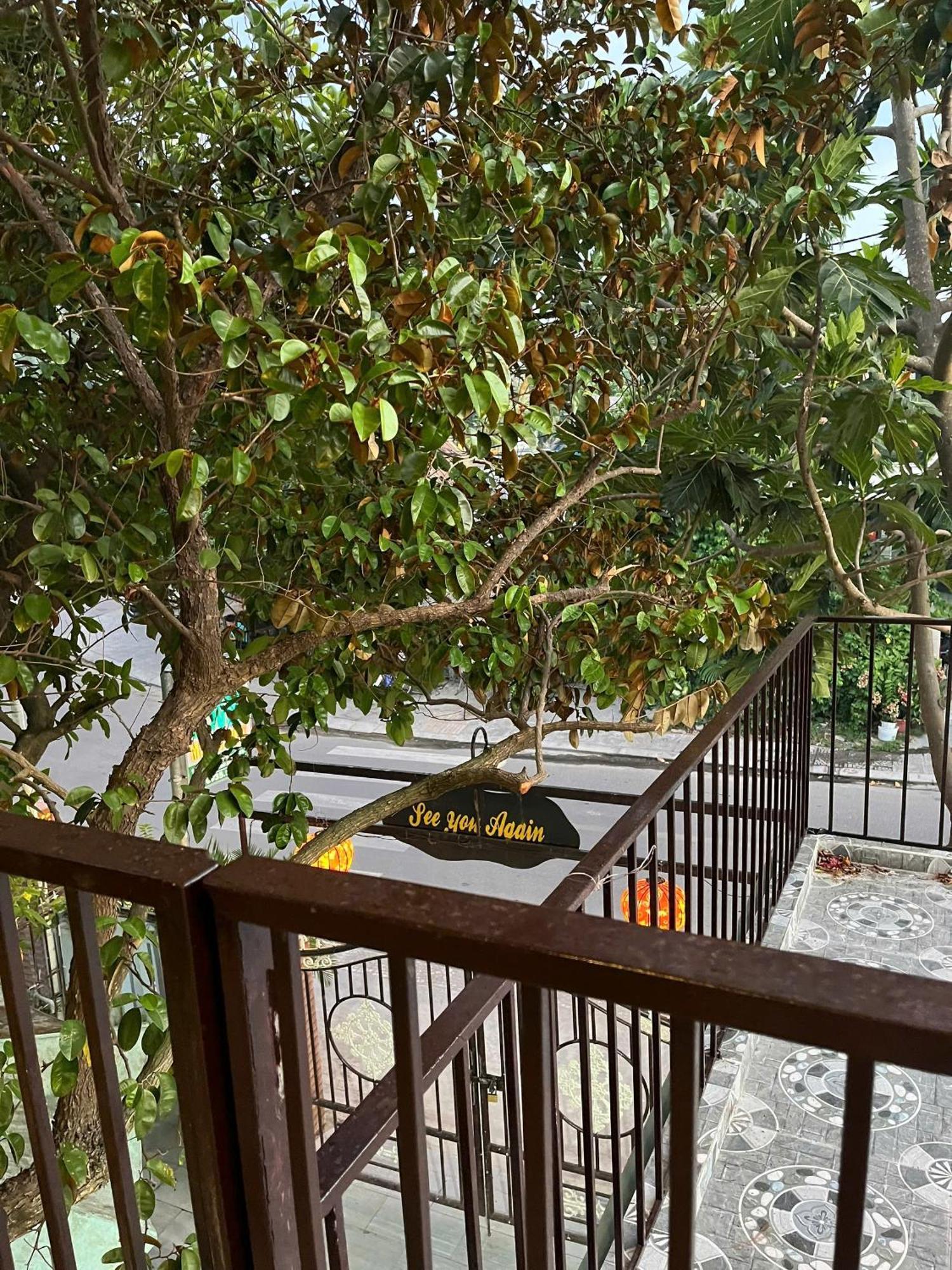 Milk Fruit Homestay - An Bang Beach Hoi An Esterno foto